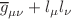 $$\overline{g}_{\mu \nu }+l_\mu l_\nu $$