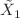 $$\tilde{X}_1$$