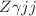 $$Z\gamma jj$$