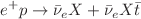 $$e^{+}p \rightarrow \bar{\nu }_{e}X+\bar{\nu }_{e}X\bar{t}$$