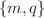 $$\{m,q\}$$