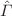 $${\hat{\Gamma }}$$