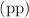 $$(\textrm{pp})$$
