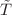 $${\tilde{T}}$$