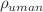 $$\rho _{uman}$$