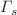 $$\Gamma _s$$
