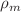 $$\rho _{m}$$