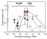 neutron-rich superheavy element 116